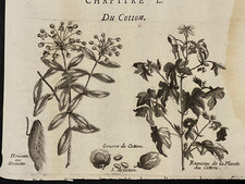 Gravure originale ancienne d'occasion  Neuilly-Plaisance