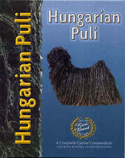 Excellent hungarian puli for sale  HEREFORD