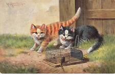 Chats mk41477 chats d'occasion  France