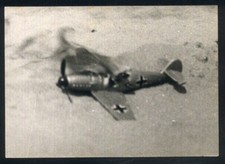 Fotografia originale caccia usato  Bologna