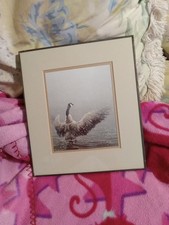Robert bateman print for sale  Rome