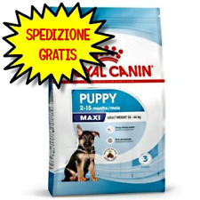 Royal canin maxi usato  San Felice Circeo