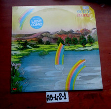 Disco vinile einclues usato  Italia