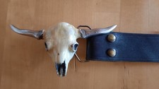 Buckle gürtelschnalle western gebraucht kaufen  Freiberg am Neckar