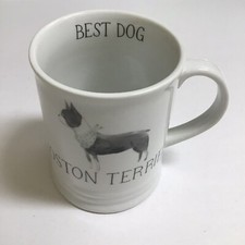 Best dog boston for sale  Orlando