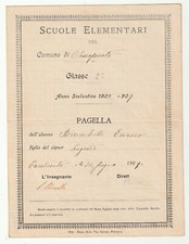 Sassoferrato pagella anno usato  Foligno