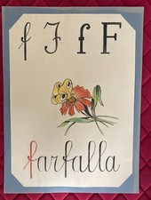 Farfalla locandina alfabeto usato  Gatteo