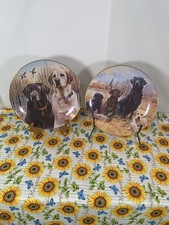 Danbury mint set for sale  Little River