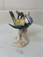 Goebal blue tit for sale  NORWICH
