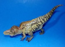 Papo acrocanthosaurus dinosaur for sale  Honolulu