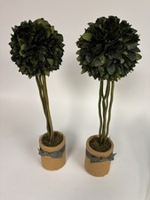 Pair potted boxwood for sale  Houston