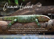Guyana 2020 caiman for sale  Brooklyn