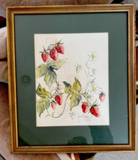 Original watercolor strawberri for sale  Newtown