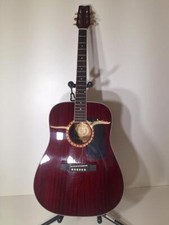 Washburn guitars d100 for sale  Boise