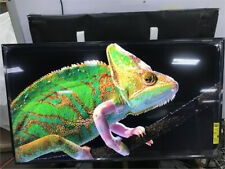 Sony fwd65x81ch uhd for sale  Willoughby