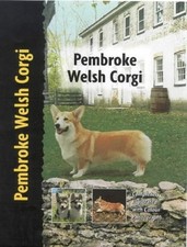 Pembroke welsh corgi for sale  San Jose