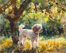 Quadro acquerello lagotto usato  Spedire a Italy