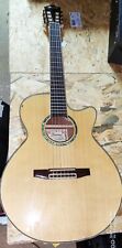 Guitare ibanez aeg10nentl202 d'occasion  Chennevières-sur-Marne