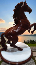 Cheval cabre chocolat d'occasion  Pont-l'Abbé-d'Arnoult