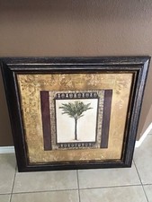 Stately palm golden for sale  Grand Prairie