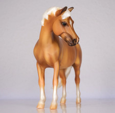 pferde ponys gebraucht kaufen pferde ponys gebraucht kaufen Leverkusen