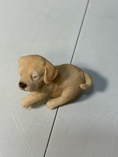 Golden labrador puppy for sale  ALTRINCHAM