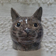 Quail cat egg for sale  DAWLISH