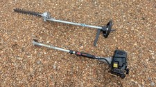 Webb pole hedge for sale  ASHFORD