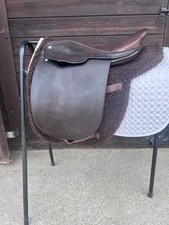 Fylde hayden show for sale  ROTHERHAM