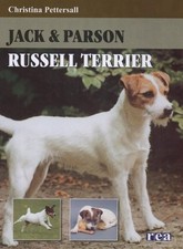 Jack parson russell for sale  UK