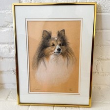Original sheltie shetland for sale  San Francisco