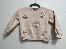Suéter Zara Kids Meninas 5-6 Blush Rosa Pastel Gola Redonda Manga Longa Flores 3D comprar usado  Enviando para Brazil