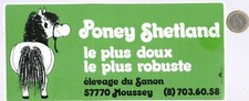 Sticker riding. pony d'occasion  Expédié en Belgium