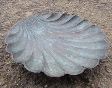 Lovely vintage shell for sale Lovely vintage shell for sale  PENRYN