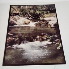 Fotografia fotográfica vintage da década de 1970 cor vintage Oregon Blossom Bear Creek comprar usado  Enviando para Brazil