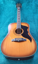twelve string guitars for sale twelve string guitars for sale HASLEMERE