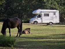Peugeot nuevo boxer for sale  STAINES-UPON-THAMES