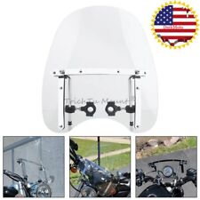 Large clear motorcycle for sale  USA