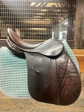 Bates caprilli children for sale  Burleson