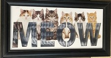 Cat meow mirror for sale  Chesterland