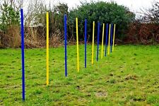 Agility übungs set gebraucht kaufen  Auetal