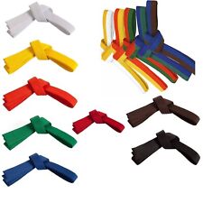 Cintura karate belt usato  Italia