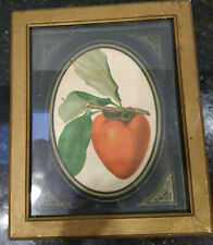 Vintage red pepper for sale  Ridgewood