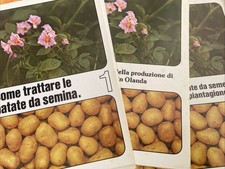 Come trattare patate usato  Castelbuono