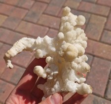 Minerali aragonite coralloide usato  Chiesa in Valmalenco