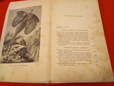 Vita costumi degli usato Vita costumi degli usato  Correggio