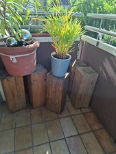 Holz deko leimbinder gebraucht kaufen  Grünstadt