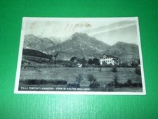 Cartolina foen feltre usato  Vimodrone