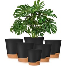 Plant pots 6.5 for sale  Brentwood