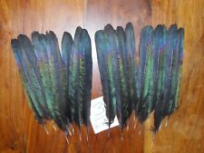 20 PLUMAS COLA DE URRACA 7"a 8" ARTE Y ARTESANÍA NATIVA AMERICANA para atar moscas segunda mano  Embacar hacia Mexico